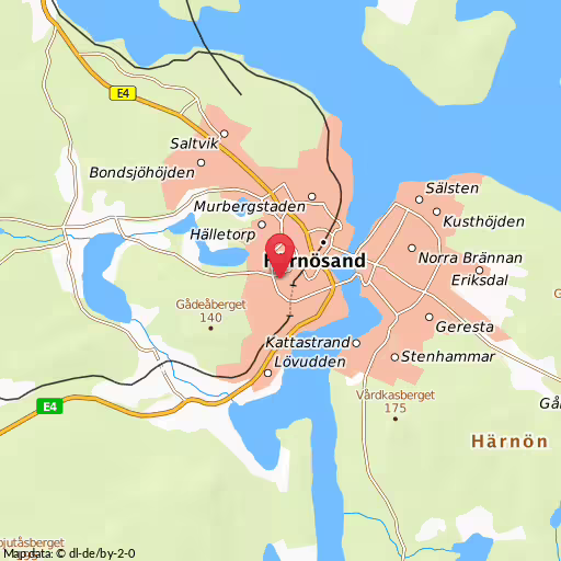 Urval av polisens arbete i trafiken